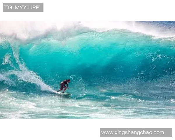 极限运动的成功秘诀王军分享他的心路历程与经验之谈