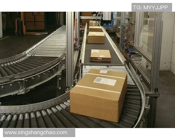 深圳滑板队的成功运营策略与团队管理深度分析