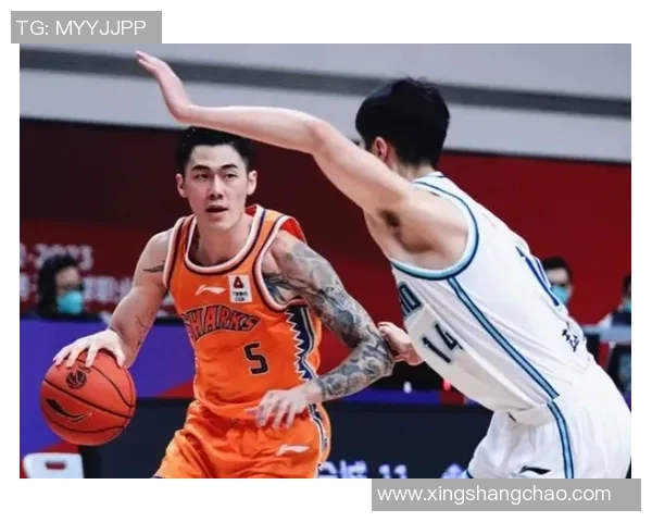 刘铮:从篮球场上的拼搏到人生舞台的奋斗之路